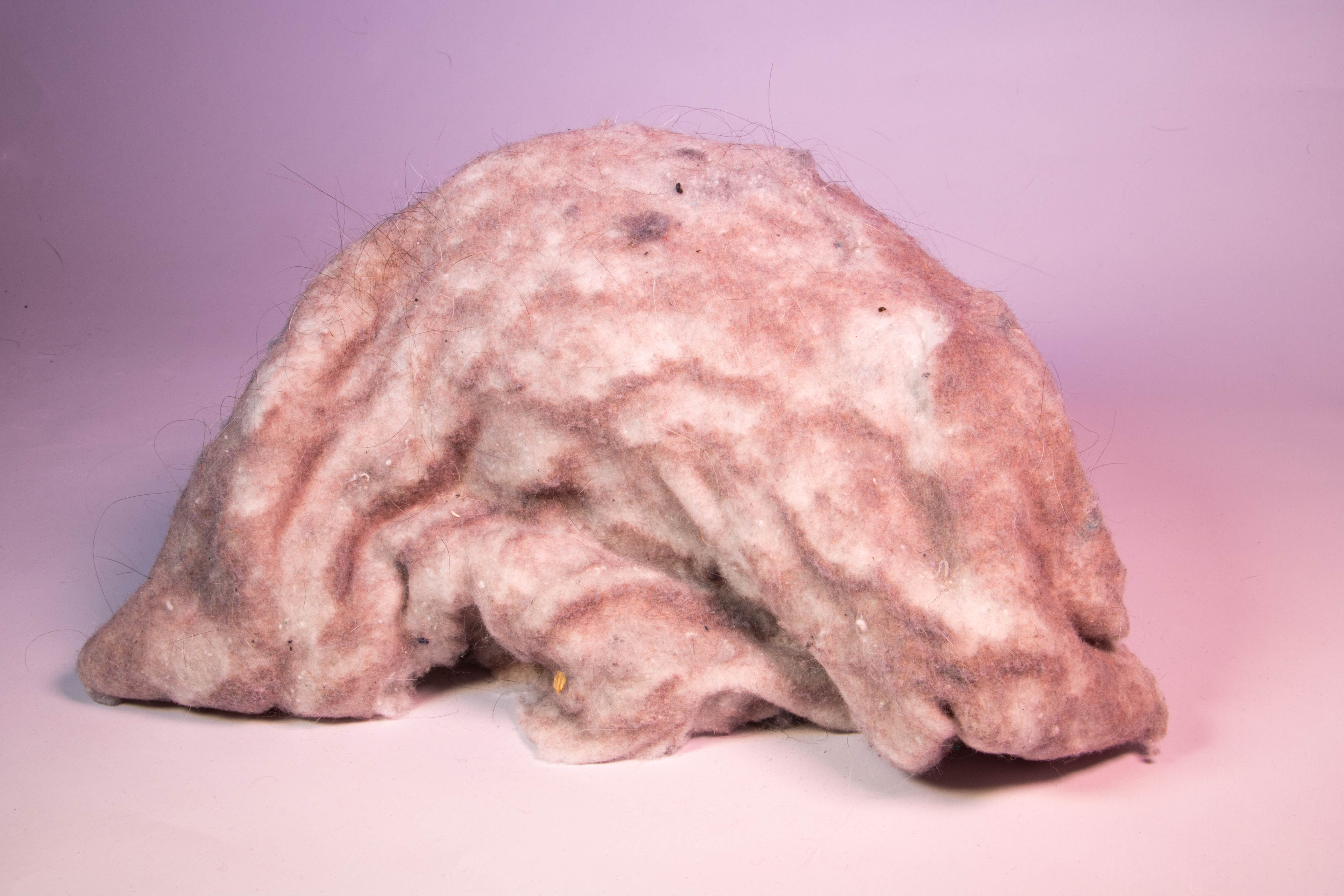 A pink and well lit form of lint